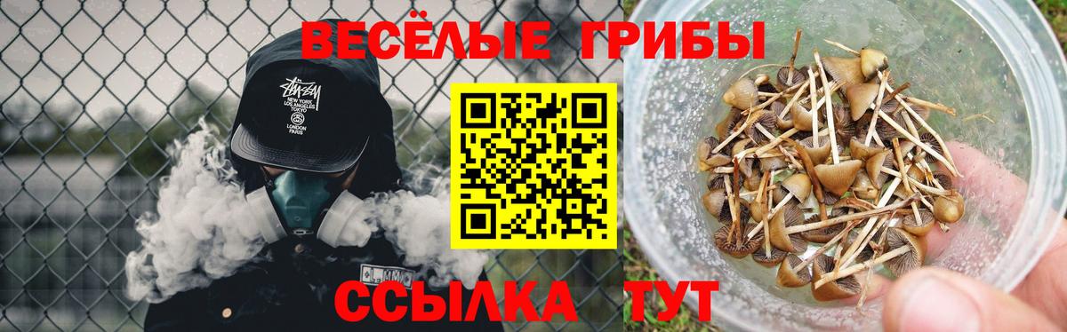 Псилоцибиновые грибы прущие грибы Удомля